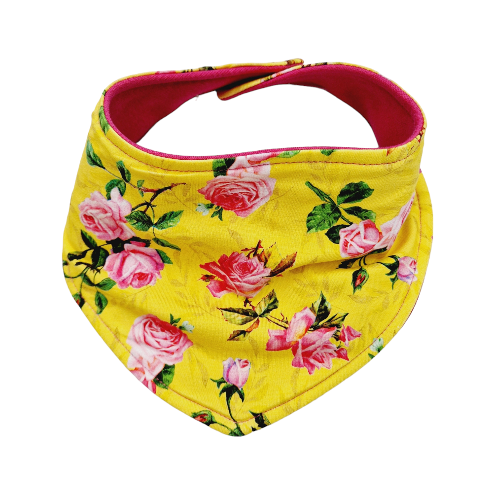 Miniconjroses - Imatge 4